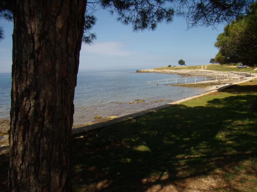Apartments Sv. Pelegrin Umag Exterior foto